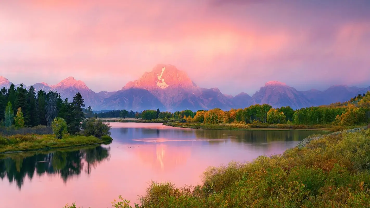 高性能精密